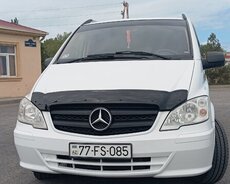 Vito sifarişi, Vito sifariwi, serniwin dawima