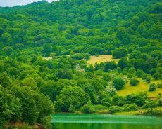 Zaqatala - Balakən - Qəbələ- Qax – Şəki