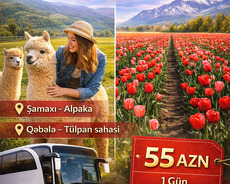 Şamaxı Qəbələ turu