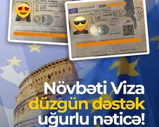 Professional Viza dəstəyi