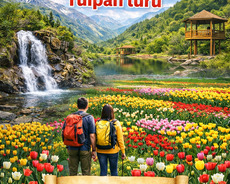 İsmayıllı Qəbələ Tulpan Turu