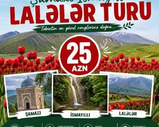 Şamaxı İsmayıllı Lalələr Turu