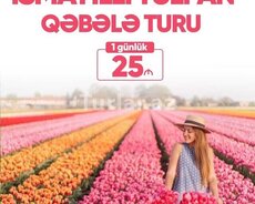 Tülpan Qəbələ İsmayıllı turu