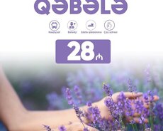 Qəbələ lavanda turu
