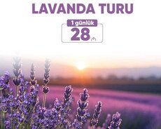 Sezon TURLARI Tülpan Qəbələ İsmayıllı