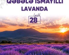 İsmayıllı Qəbələ Lavanda Turu