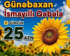 İsmayıllı Qəbələ Turu ( Günəbaxan ilə )