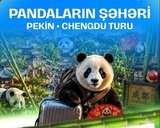 çin turu chengdu pandalar