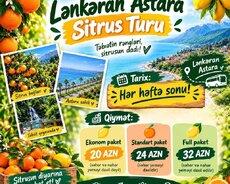 Lənkəran Astara Sitrus Turu