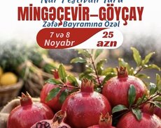 Zəfər Bayramına Özəl Nar Festivalı Turu