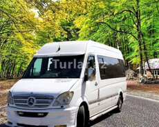 Sadə, VİP, Premium 18-20 nəfərlik Sprinterlər