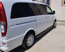 Vitaların sifarişi şirkət