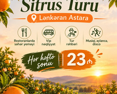 Lənkəran Astara sitrus turu