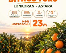 1 günlük Lənkəran Astara sitrus turu